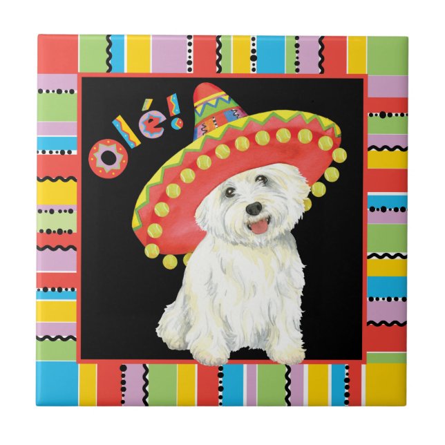 Festa Westie (Frente)