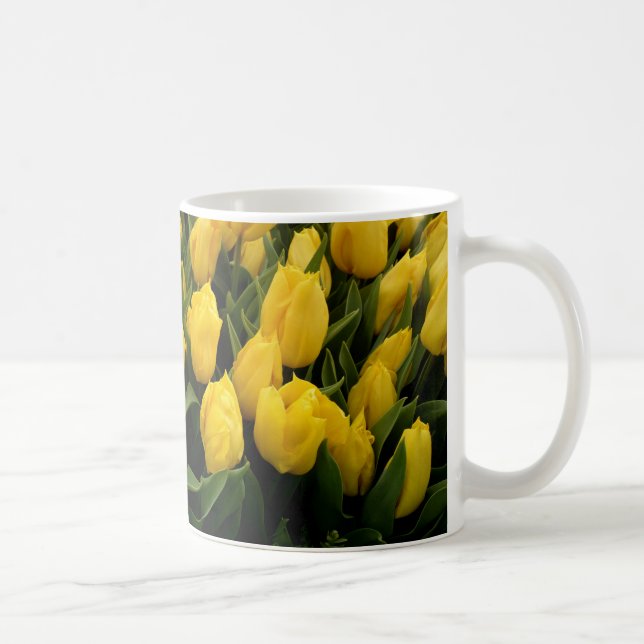 Festival da tulipa - 27 canecas (Direita)