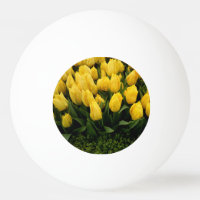 Festival da tulipa - bola de Pong de 27 sibilos