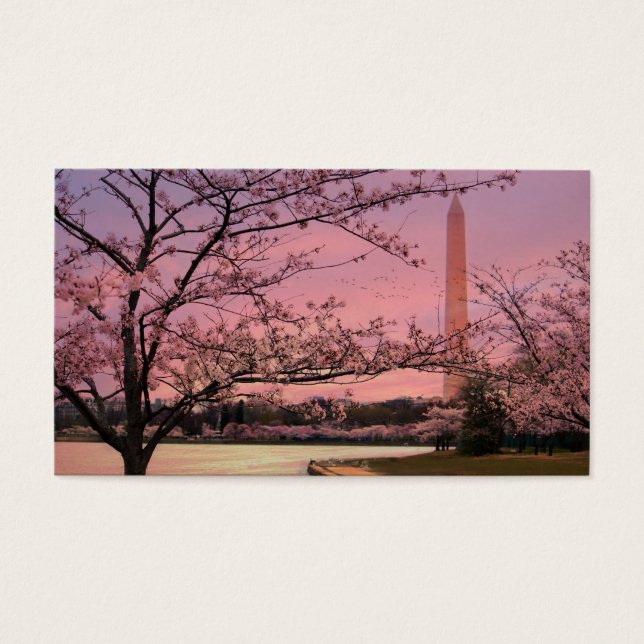 Festival do Blossom de Cereja do Monumento de Wash (Frente)