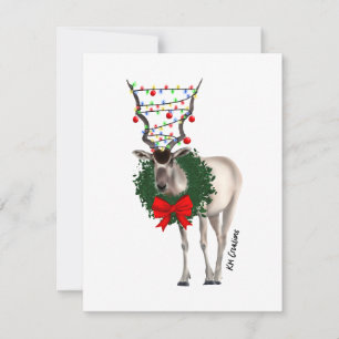 Festividades Addax - cartão de Natal