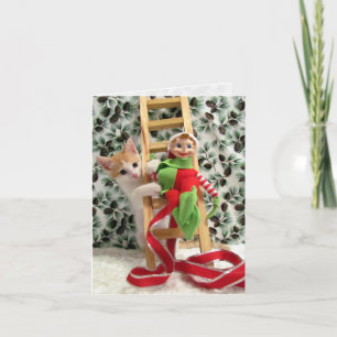 Festividades Annie e Elf - Cartão de Natal Gato / Gatinho