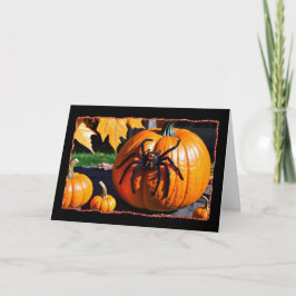 Festividades Aranha em cartão de Halloween de abóbora