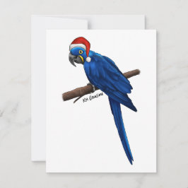 Festividades Arara-azul - cartão de Natal