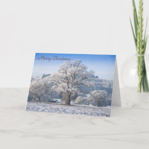 Festividades Árvore de carvalho no Cartão de Natal de Frost