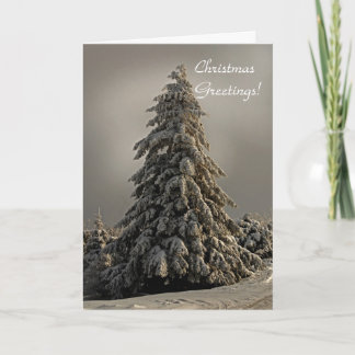 Festividades Árvore de Natal da Natureza - Cartão Saudável