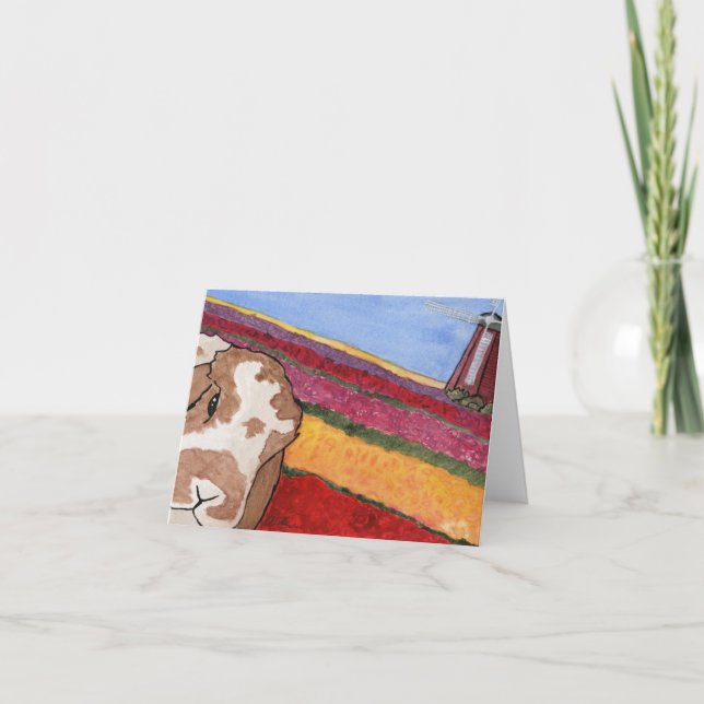 Festividades Aventuras de Coconut: Cartão Saudável de Maio 4"x5 (Frente)