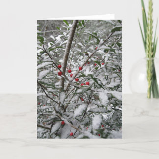 Festividades "Azevinho cartão de cumprimento na neve"