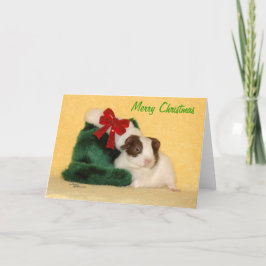 Festividades Bebê Guiné Porco Feliz Cartão de Natal