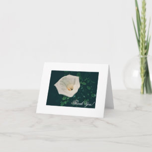 Festividades Belo Cartão de Agradecimento de Lírio Branco