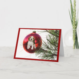 Festividades Bola de Cartão de Natal Beagle