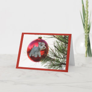 Festividades Bola de Cartão de Natal Miniatura Schnauzer