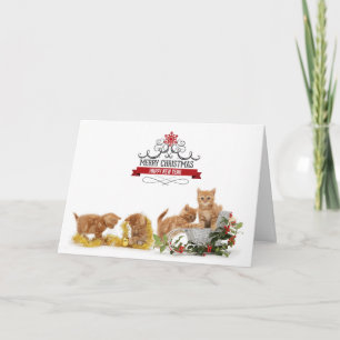 Festividades Bons animais gatos Cartão de Natal