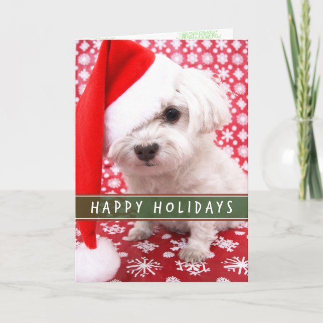 Festividades Cachorro com cartão de Natal Santa Hat (Frente)