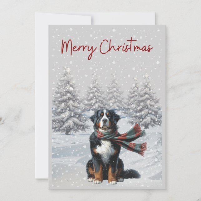 Festividades Cachorro da Montanha Bernese no cartão de Natal da (Frente)