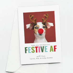 Festividades Cachorro Pet Engraçado Foto de Natal Cartão Festiv