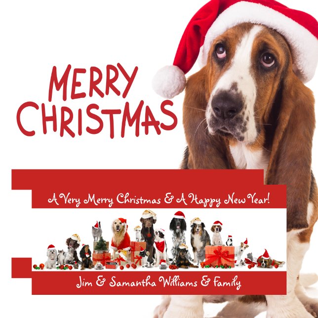 Festividades Cachorros Adormecidos Feliz Cartão de Natal (Dog Lovers - Merry Christmas Card)