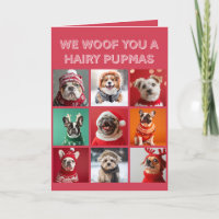 Cachorros Pequenos em Doces Cartão de Natal