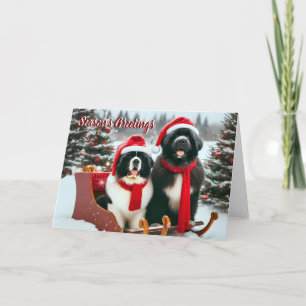 Festividades Cães de Terra Nova 5x7 no Cartão de Natal de Sleig