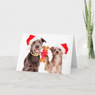 Festividades Cães que compartilham do cartão de Natal do elog