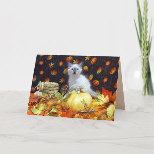 Festividades Caiu de Savannah (Cat / Kitten) / Cartão de Ação d