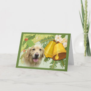 Festividades Caixas de Cartão de Natal de Retriever de ouro