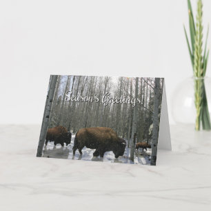Festividades Cartão Buffalo de Saudações da Estação Nativa Amer