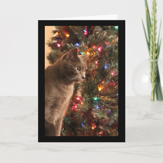 Festividades Cartão Cat de Natal (Frente)