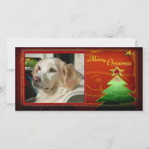 Festividades Cartão com fotos da Árvore de Natal