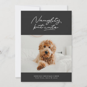 Festividades Cartão com fotos de animais de estimação malicioso