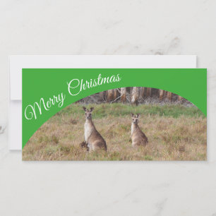 Festividades Cartão com fotos de Feliz Natal Australiano