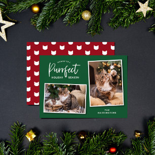 Festividades Cartão com fotos de Feriado Puro de Gato Verde e V
