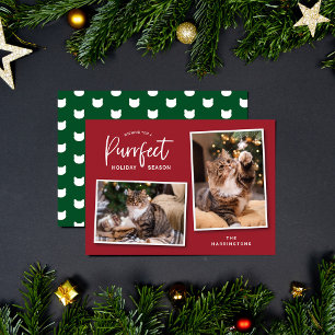 Festividades Cartão com fotos de Feriado Puro de Gato Vermelho