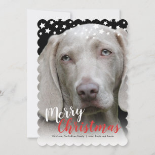 Festividades Cartão com fotos de Férias Doggie Love