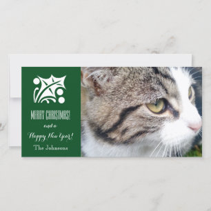 Festividades Cartão com fotos de gato natalino Adicione sua i