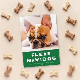 Festividades Cartão com fotos Feriado de Animais de Companhia d