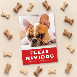 Festividades Cartão com fotos Feriado de Animais de Companhia d
