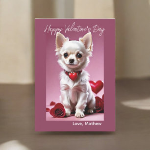 Festividades Cartão Cupido de Chihuahua