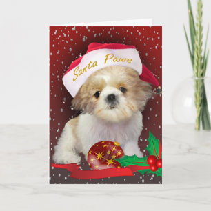Festividades Cartão das patas do papai noel do Natal de Shih