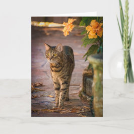 Festividades Cartão de Ação de Graças com flores de gato e de o