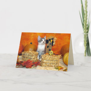 Festividades Cartão de Ação de Graças de Pork Chop - Gato Bonit