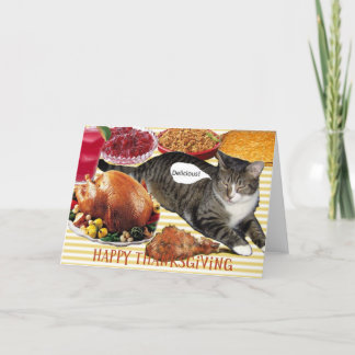 Festividades Cartão de Ação de Graças do gatinho