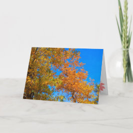 Festividades Cartão de Ação de Graças e Queda 2