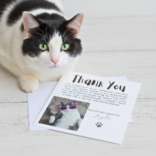 Festividades Cartão de Agradecimento de Foto Personalizado 'Paw
