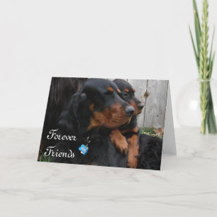 Festividades Cartão de Amizade Gordon Setter Pals
