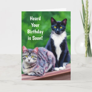 Festividades Cartão de aniversário de dois gatos Arte Presente 