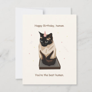 Festividades Cartão de Aniversário de Gato Engraçado