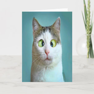 Festividades Cartão de Aniversário de Gato Louco Divertido Fofo