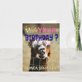 Festividades Cartão de Aniversário Engraçado Alpaca - Humor Com