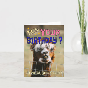 Festividades Cartão de Aniversário Engraçado Alpaca - Humor Com